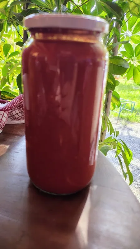 Mermelada de damasco · 1 kilo